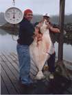 Halibut landed on Vancouver Island